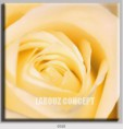 /album/photo-gallery-canvas-uri/decoratiuni-de-perete-canvas-lc-0020-jpg/